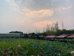 -洪湖家庭农场·团建·露营·会议