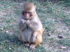 -南京金牛湖风景区