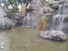 -东莞植物园