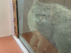 -青藏高原野生动物园
