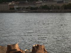 -多瑙河畔鞋履雕塑