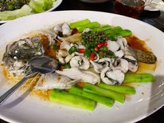 -猪肉婆私房菜(容桂总店)