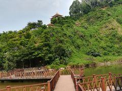 景点-水濂山森林公园