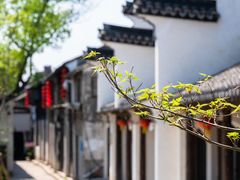 -黎里古镇
