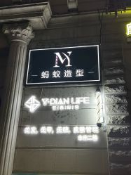 -蚂蚁造型俱乐部