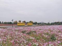 -径山花海