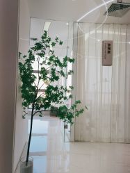 -臣丽纹眉品牌连锁