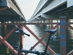 -丁香湖公园