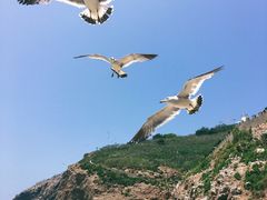 -海驴岛(荣成市)