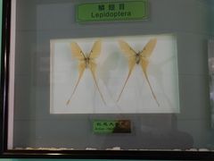 -上海昆虫博物馆