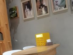 -藏猫猫咖啡主题馆(中央大道店)