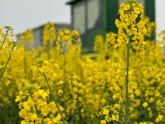 -中国天府农业博览园