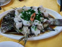 -鸽王世家(东华东路店)