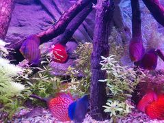 -上海海洋水族馆