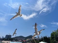 -黑石礁公园