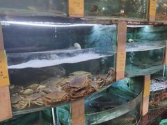 水产区-石湖大酒店(桐泾店)