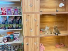 -猫十亿·布偶金渐层·曼基康矮脚猫舍(青年路店)