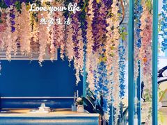 -青瓷火锅料理(西单大悦城店)