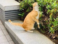-晓院餐厅