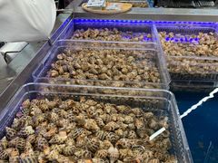 -盒马X会员店(上海森兰商都店)