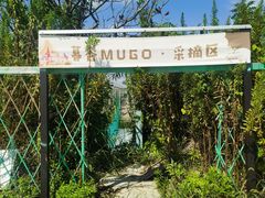 -暮谷MUGO ·团建聚会·露营烧烤·生日派对·共享菜地