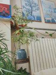 -小洁美甲美睫半永久定妆