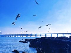 -黑石礁公园