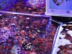 -盒马鲜生(顺义店)