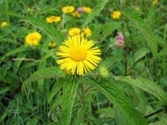 -野三坡清泉山风景区