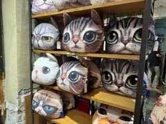-猫咪博物馆(顶澳仔猫街店)