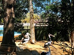 -费瑟代尔野生动物园