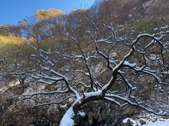 -少华山国家森林公园