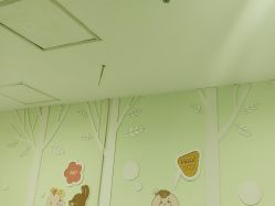 -上海市嘉定区妇幼保健院