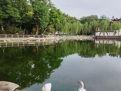 -莲湖公园