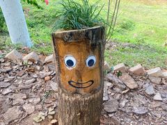 -神光山国家森林公园