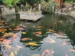 景观位-猪肉婆私房菜(容桂总店)