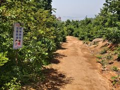 -巨石山景区