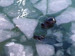 -济南野生动物世界