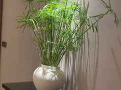 -大浪淘沙(郑州未来路店)