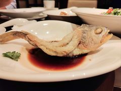 -万豪中餐厅·粤菜·北京粤财JW万豪酒店