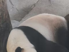 -宁波野生动物园