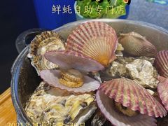 -蚝英雄鲜蚝自助专门店(长楹天街直营店)