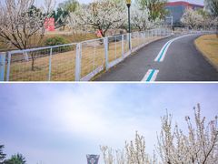 -国际非物质文化遗产博览园