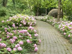 -上海滨江森林公园