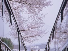 -上海南浦大桥长途旅游客运站