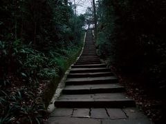 -缙云山景区