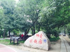 游乐设施-朝阳公园