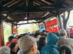 -长兴太湖图影湿地文化园