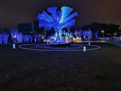 -红星美凯龙国际家居博览中心至尊mall停车场
