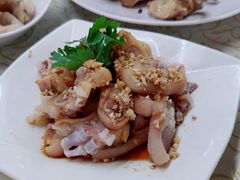 -百利鸽王(紫薇路店)